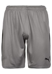 Puma, Herren 'Liga' Short, Dunkelgrau