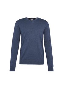 Esprit, Herren Pullover 'Basic CO V-nk', Marine