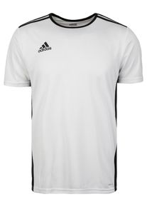 adidas Performance, Herren Fu&szlig;balltrikot 'Entrada 18', Schwarz / Wei&szlig;