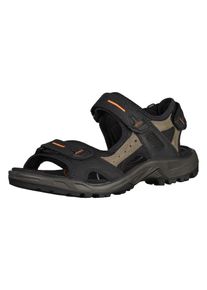 Ecco, Herren Sandalen, Ecru / Hellorange / Schwarz