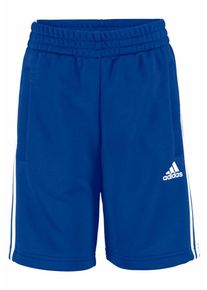 adidas Performance, Shorts 'YOUNGBOY 3S KNIT SHORT', Blau