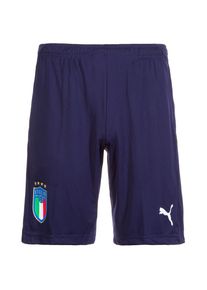 Puma, Herren FIGC Italien Trainingsshort WM 2018, Dunkelblau / Grün / Rot / Weiß