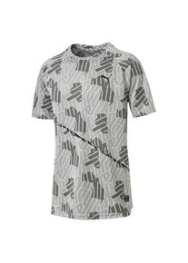 Puma, Herren T-Shirt 'BND Tech', Hellgrau / Dunkelgrau