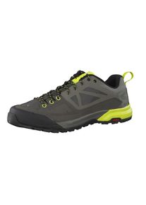 Salomon, Herren Zustiegsschuhe 'X ALP SPRY', Neongelb / Basaltgrau