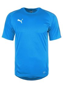 Puma, Herren Trainingsshirt, Rauchblau