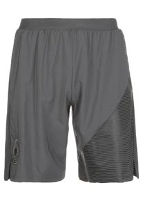 adidas Performance, Herren Shorts 'DFB Seasonal Specials WM 2018', Grau