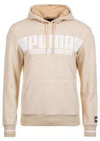 Puma, Herren Kapuzenpullover 'Style Athletics', Beige