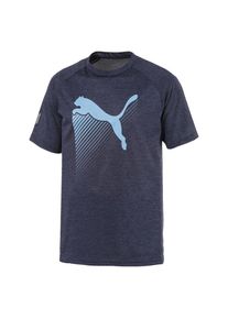 Puma, Herren T-Shirt, Hellblau / Blaumeliert