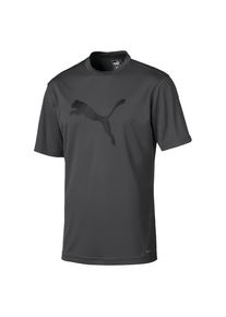 Puma, Herren Trikot, Basaltgrau