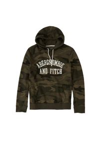 Abercrombie & Fitch Abercrombie & Fitch, Herren Sweatshirts 'CORE LOGO POPOVER', Oliv