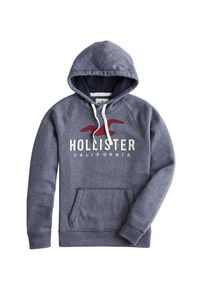 Hollister, Herren Sweatshirt, Navy