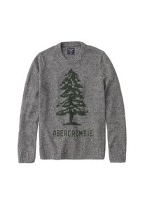 Abercrombie & Fitch Abercrombie & Fitch, Herren Pullover 'FESTIVE CREWS', Grau / Gr&uuml;n