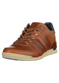 Gaastra, Herren Sneaker, Cognac
