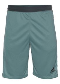 adidas Performance, Herren Shorts, Jade / Schwarz