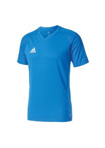 adidas Performance, Herren Trainingstrikot 'Tiro 17 BQ2815', Blau
