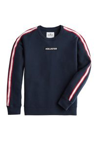 Hollister, Herren Sweatshirt, Navy