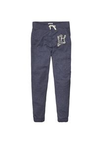 Tommy Jeans, Herren Hose 'THDM BASIC JOGGING PANT 1', Taubenblau