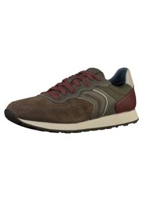 Geox, Herren Sneaker, Dunkelbraun / Basaltgrau