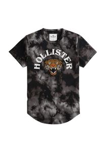 Hollister, Herren T-Shirt, Mischfarben / Schwarz / Weiß