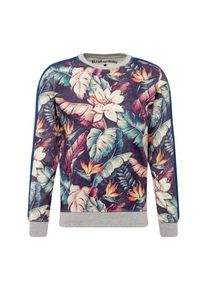 Replay, Herren Sweatshirt 'Sweatshirt', bunt