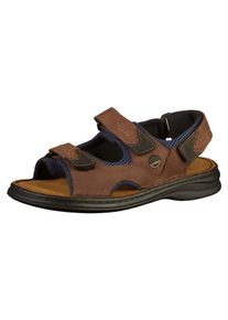 Josef Seibel, Herren Sandalen, Kobaltblau / Braun