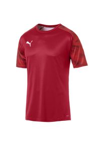 Puma, Herren Trainingstrikot 'Cup', Rot