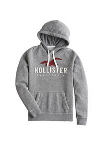 Hollister, Herren Sweatshirt, Grau