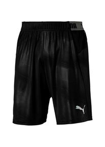 Puma, Herren Shorts, Grau / Basaltgrau / Schwarz