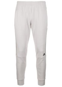 adidas Performance, Herren Sweathose 'ZNE STRIKER PNT', Grau