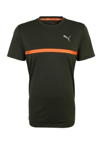 Puma, Herren T-Shirt 'Run Graphic', Khaki / Dunkelorange