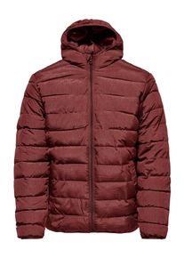 Only & Sons Only & Sons, Herren Steppjacke, Kirschrot