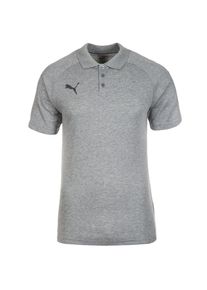 Puma, Herren Poloshirt 'Ascension Casuals', Grau