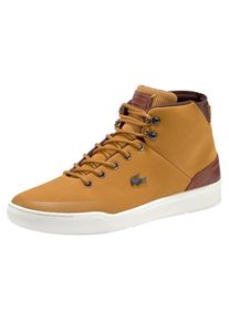 Lacoste, Herren Sneaker 'Explorateur Classic 318', Braun / Honig / Wei&szlig;