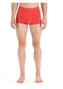 Icebreaker Cool-Lite™ Merino Anatomica Trunk Shorts - Mann - Vibrant Earth - Größe M