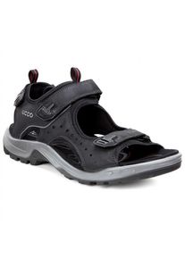 Ecco Offroad Sandalen Herren (Gr 43 |grau/schwarz)