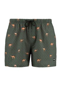 Shiwi Badeshorts