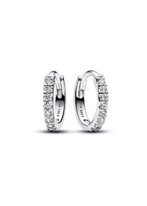 Pandora Creolen Timeless 293015C01