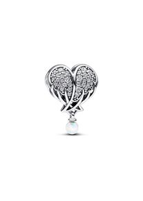 Pandora Charm Moments 792980C01