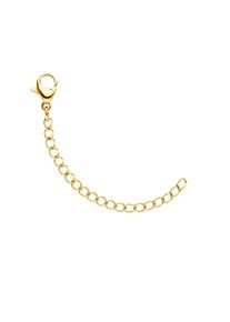 Paul Valentine Necklace Extension Gold