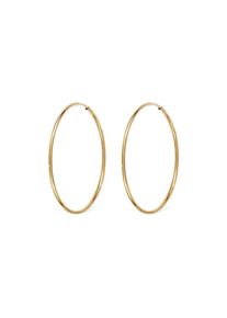 FAVS. FAVS Creolen 88403347