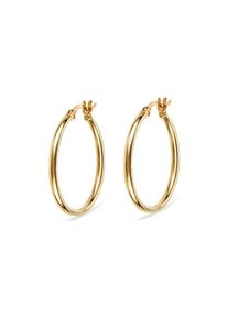 FAVS. FAVS Creolen 88440048