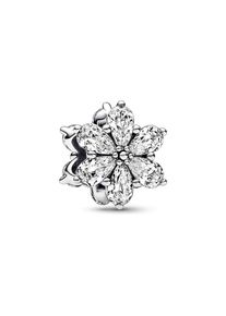 Pandora Charm Timeless 792623C01