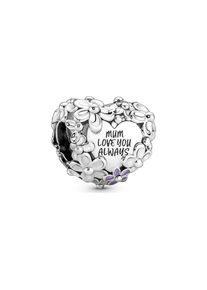Pandora Charm Moments 791155C01