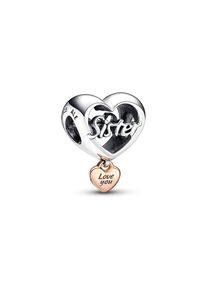 Pandora Charm Moments 782244C00