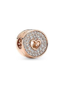 Pandora Charm Moments 781977C01