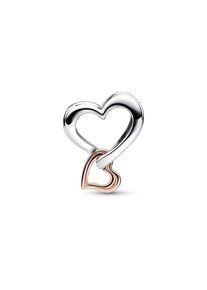 Pandora Charm Moments 782642C00