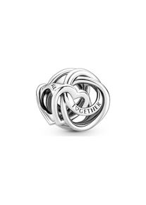 Pandora Charm Moments 791507C00