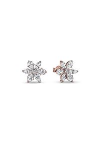Pandora Ohrstecker Timeless 282407C01