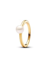 Pandora Damenring Pandora Timeless 163157C01-54
