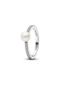 Pandora Damenring Pandora Timeless 193158C01-58